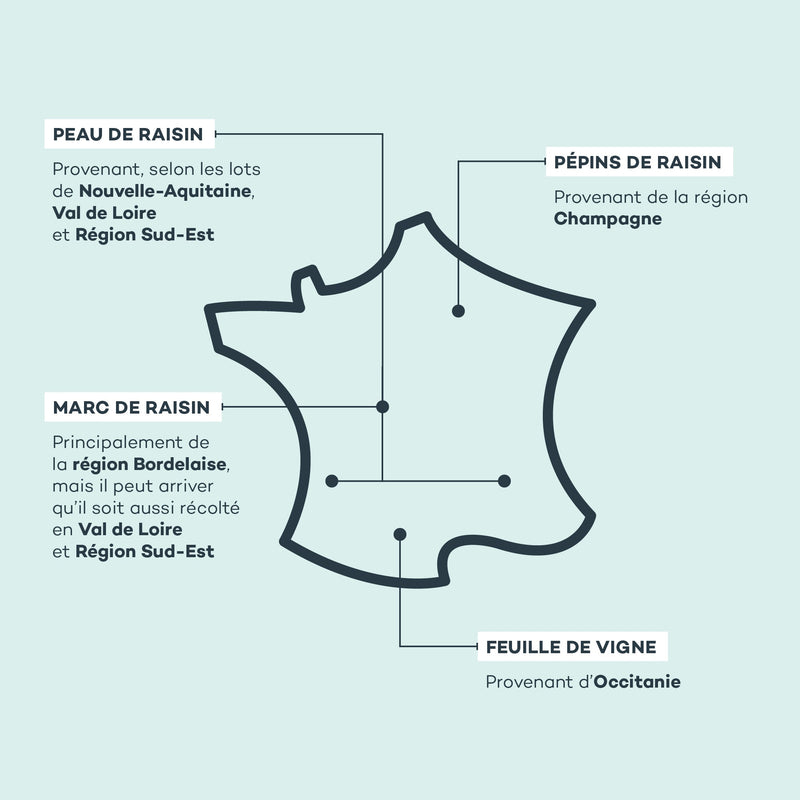 Absolu de Raisin